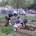 Por qué se debe enseñar jardinería en las escuelas