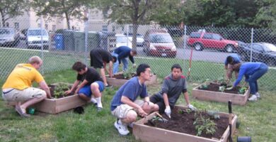 Por qué se debe enseñar jardinería en las escuelas 7 Por qué se debe enseñar jardinería en las escuelas