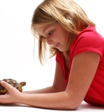 4 lecciones que las mascotas enseñas en la escuela